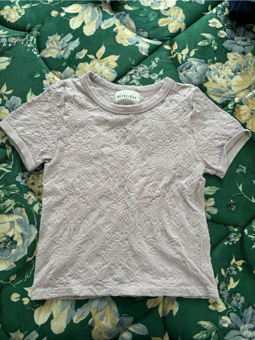 Olive & Oak Blush Textured Lace Short Sleeve Top